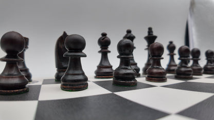 شطرنج الخشب الفاخر | وزيرين إضافيين + رقعة جلد + شنطة جلد - EGT Chess - 